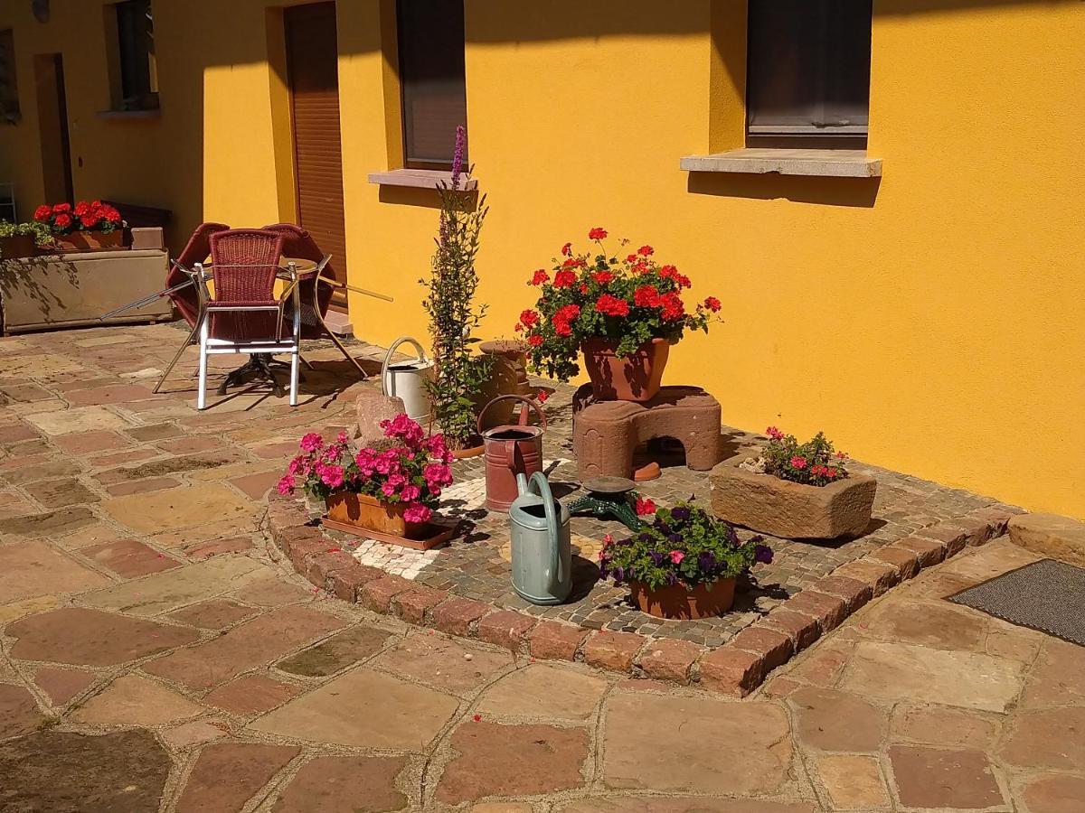 Appartement Le Pélican à Wittenheim Extérieur photo